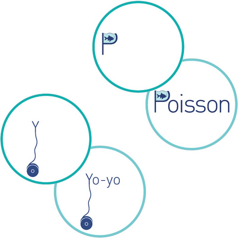 Meli Memo L Abecedaire Graphique Memory Pour Se Sensibiliser A La Lettre Et Au Graphisme Lily Poule