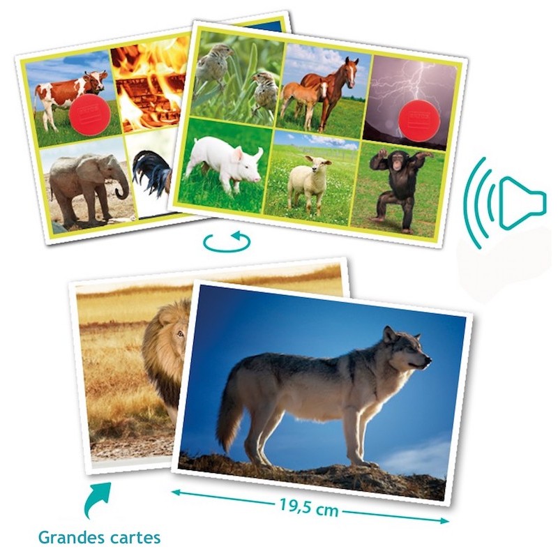 Loto Sonore Des Animaux Jeu Sensoriel Dassociation Et