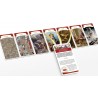 Chronicards, l'histoire du monde