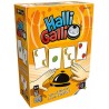 Halli Galli