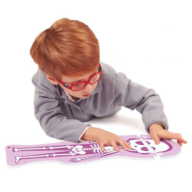 3 grands puzzles réversibles pour comprendre le corps humain