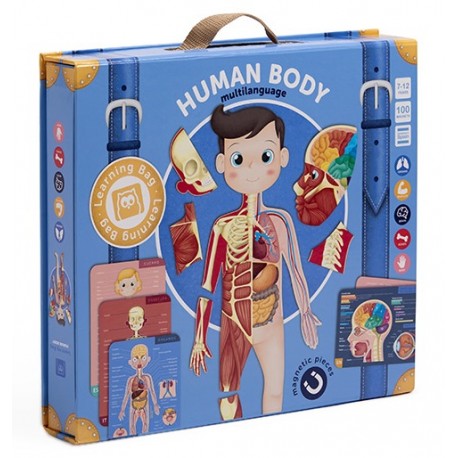 Human body - Le corps humain (magnétique) Human body - Le corps humain (magnétique)