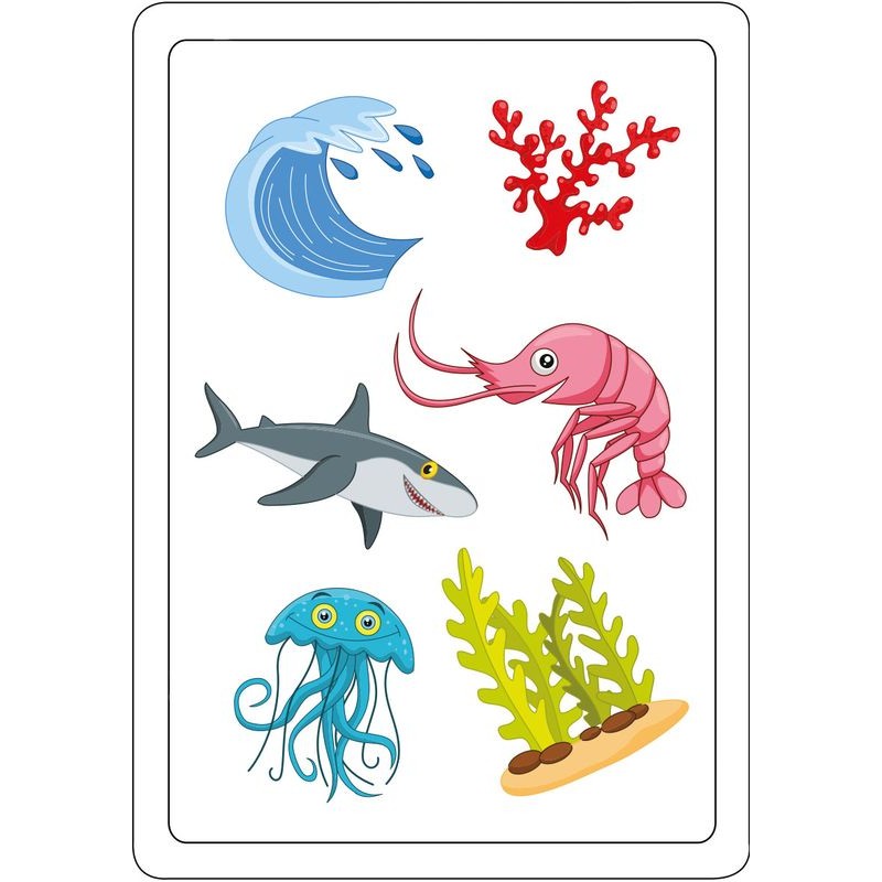 Tam Tam Animaux De La Mer Abludis Jeu De Lecture Et De Rapidite Amusant Avec 6 Regles De Jeu