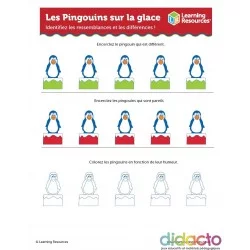 Activités pour les Pingouins sur Glace - Fiche pédagogiquz