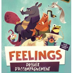 Feelings - Dossier d'accompagnement