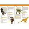 Dinosaures