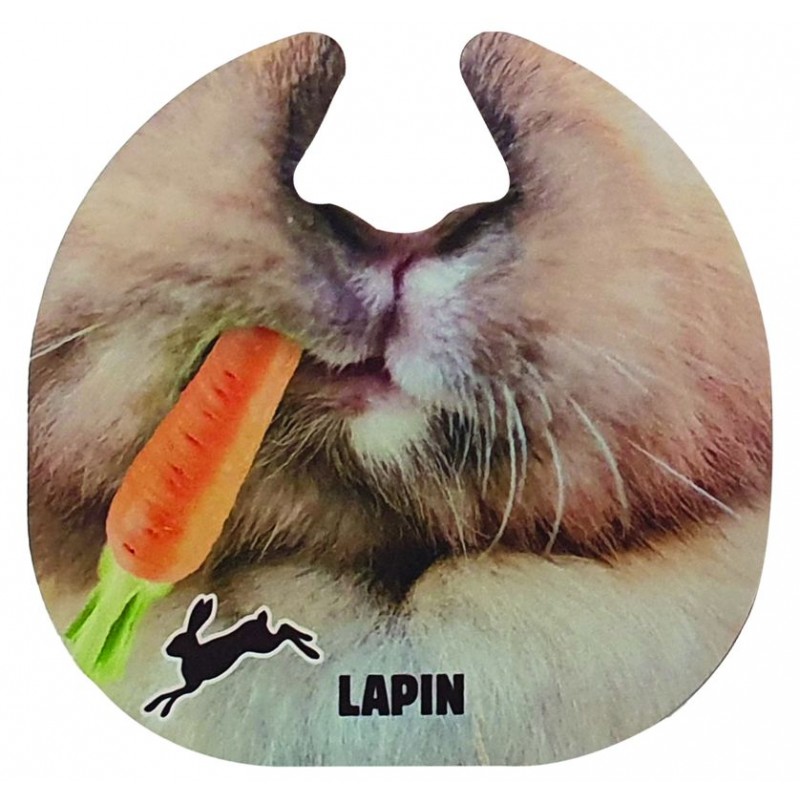 Quiz My Face Jeu De Devinettes Et De Langage Avec Des Masques Tres Amusants Welcome Family