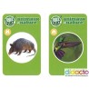 Défi quiz - Animaux et nature