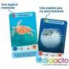 Défis nature junior - Merveilles de la mer