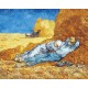Puzzle La méridienne de Van Gogh