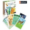 Jeu des 9 familles La forêt