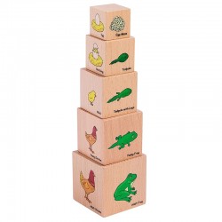 Blocs du Cycle de Vie