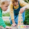 Blocs du Cycle de Vie