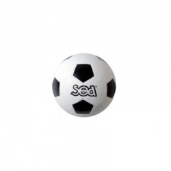 Ballon d'initiation au...