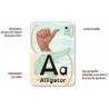 L'alphabet