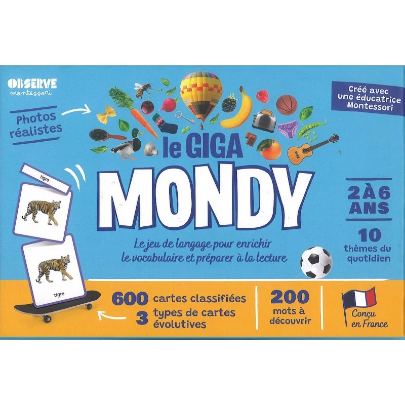 Coffret de 600 cartes Montessori pour découvrir le monde et enrichir le  vocabulaire.