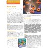 Recto Verso