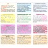 Grammi Cat’s II - Les fonctions grammaticales