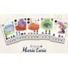 Sur les traces de Marie Curie
