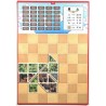 Tangram City