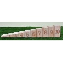 Blocs de nombres proportionnels 1 à 10