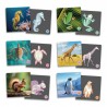 Maxi-mémory : les animaux vertébrés et leur squelette