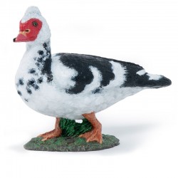 Figurine Canard de Barbarie