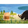 La grotte des animaux qui dansent