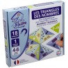 Les Triangles des Nombres