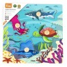 Encastrement des animaux de la mer