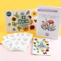 Coffret de graines papillons & abeilles