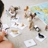 Mini-Mondy : Animaux