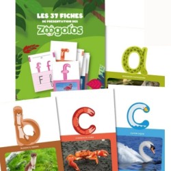 Les 37 fiches des Zoogotos