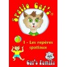 Sapico Cat's 1 - les repères spaciaux
