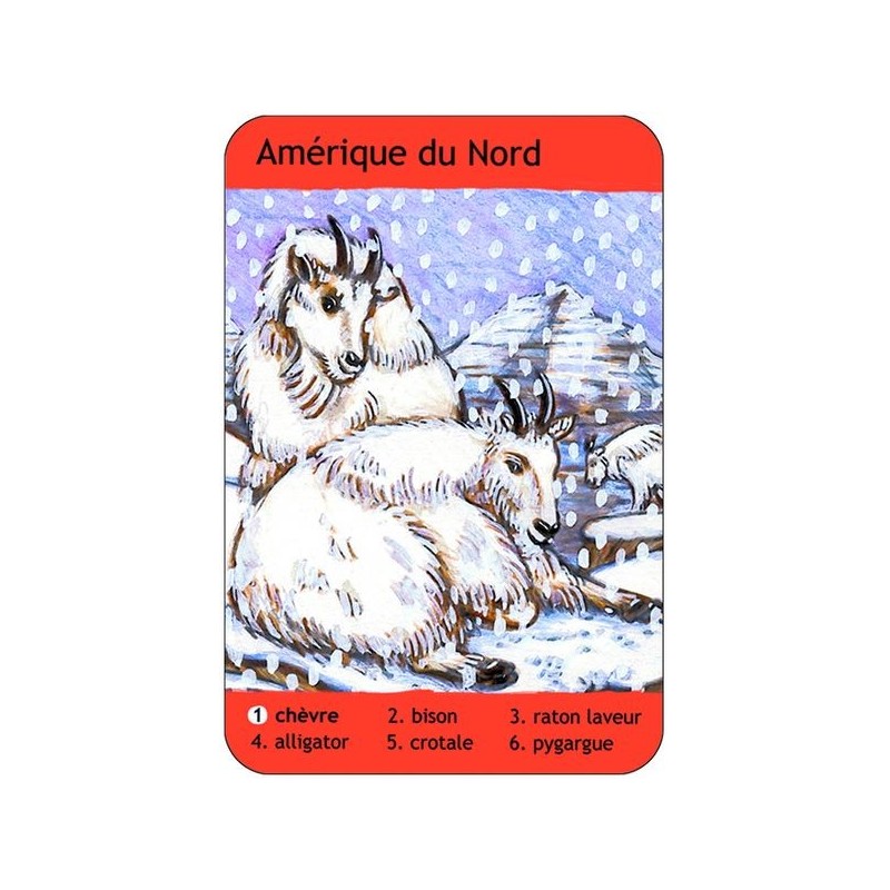 7 Familles Les Aniamux Du Monde