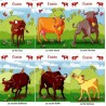 Jeu des 7 familles animaux