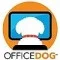 Office Dog