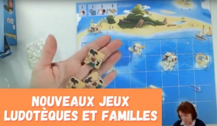 WEBINAIRE - Nouveaux jeux ludothèques et familles